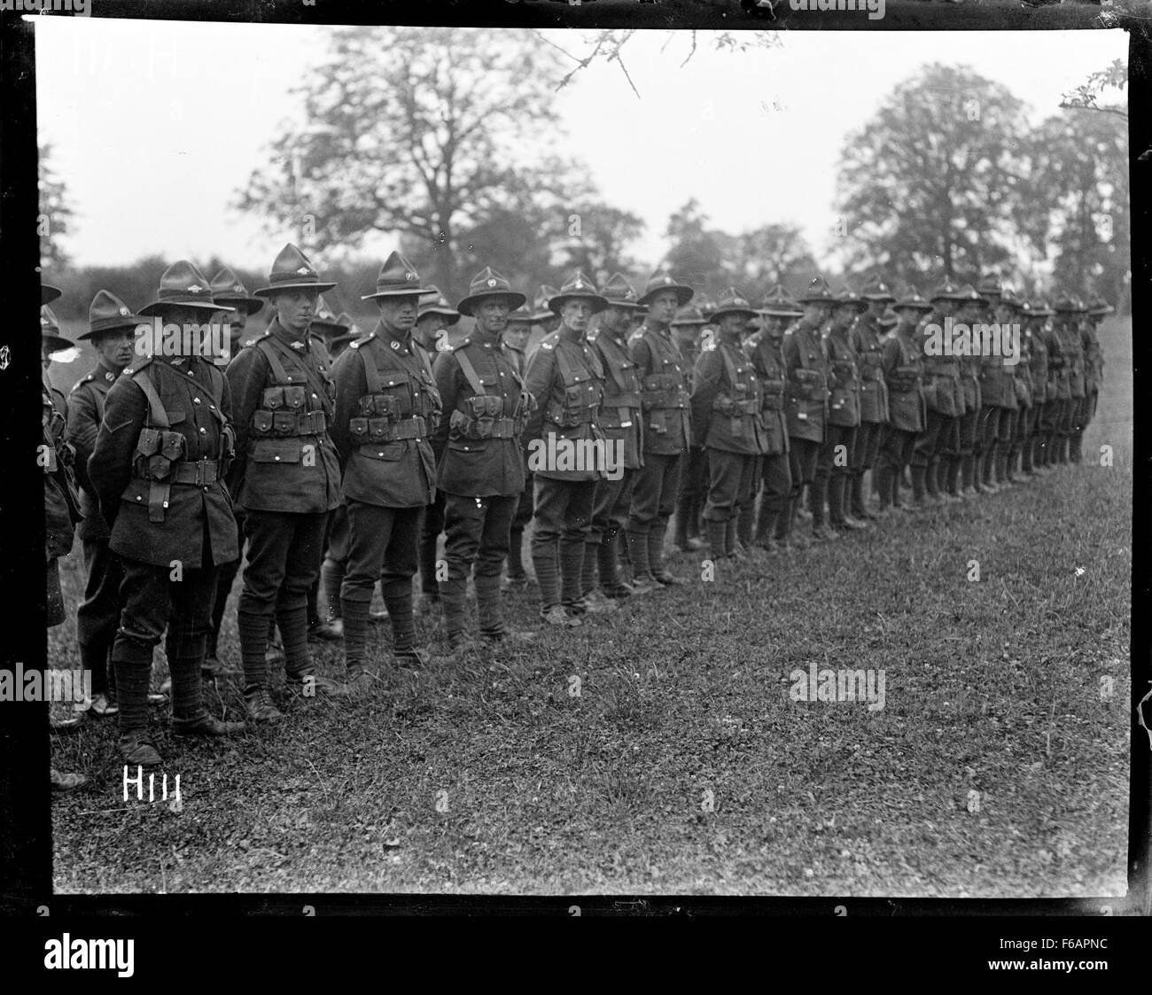 Questa fotografia cattura la presentazione di medaglie ai soldati della divisione neozelandese, riconoscendo il loro servizio e il loro coraggio. Riflette le tradizioni militari e l'onore delle forze neozelandesi durante un grande conflitto. Foto Stock