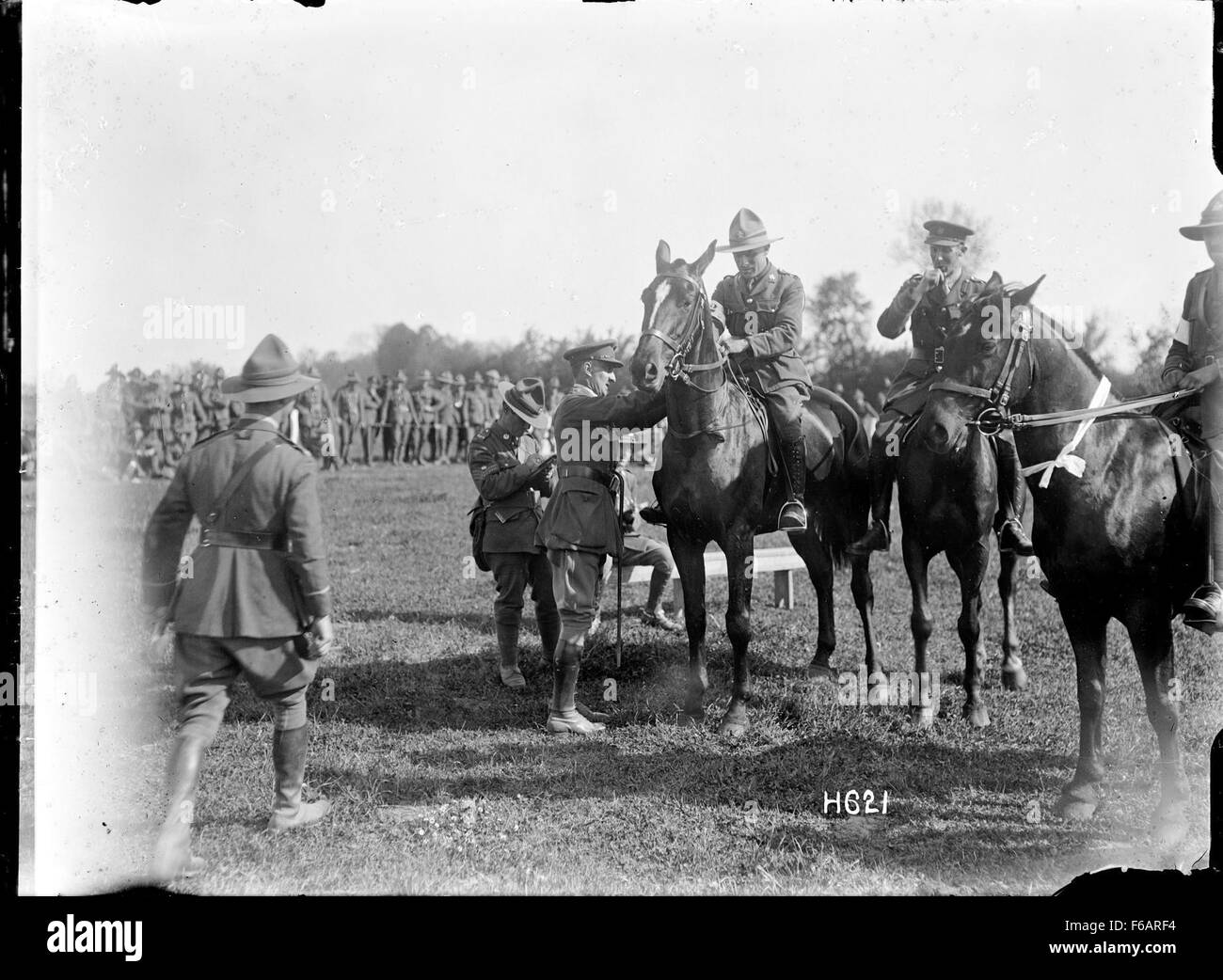 Questa fotografia cattura un ufficiale della New Zealand Infantry Brigade a cavallo. L'immagine riflette le tradizioni militari e il servizio di cavalleria delle forze neozelandesi, mostrando l'uniforme e l'equipaggiamento militare dell'ufficiale. Foto Stock