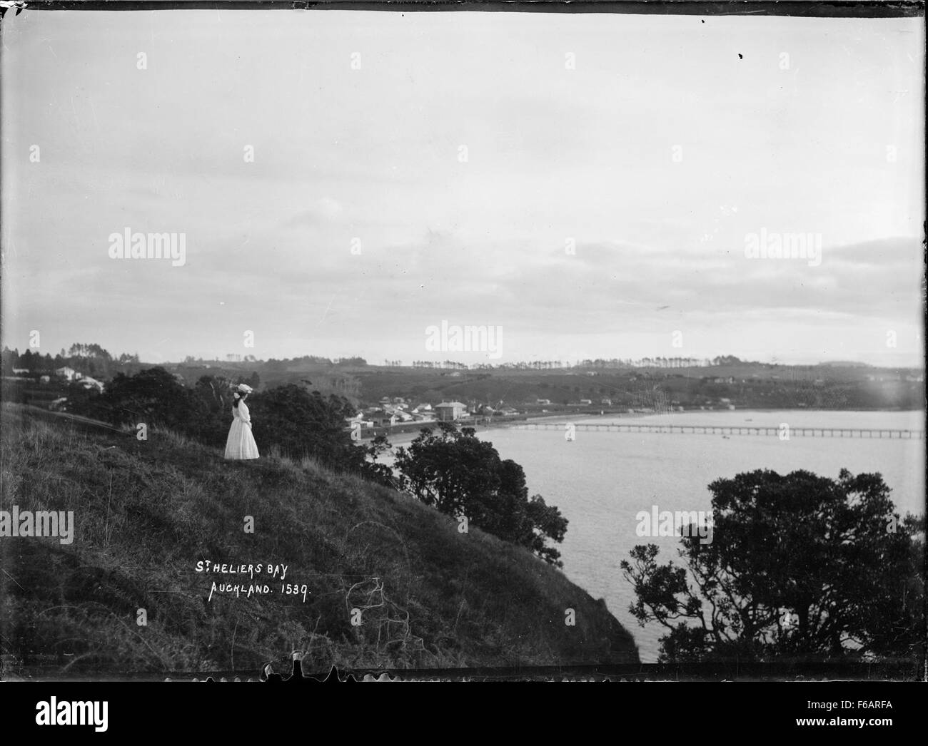 Questa vista della baia di St Heliers, presa da Achilles Point ad Auckland, cattura la bellezza del paesaggio costiero. L'immagine evidenzia il paesaggio naturale, con acque calme e lussureggiante vegetazione tipica della regione. Foto Stock