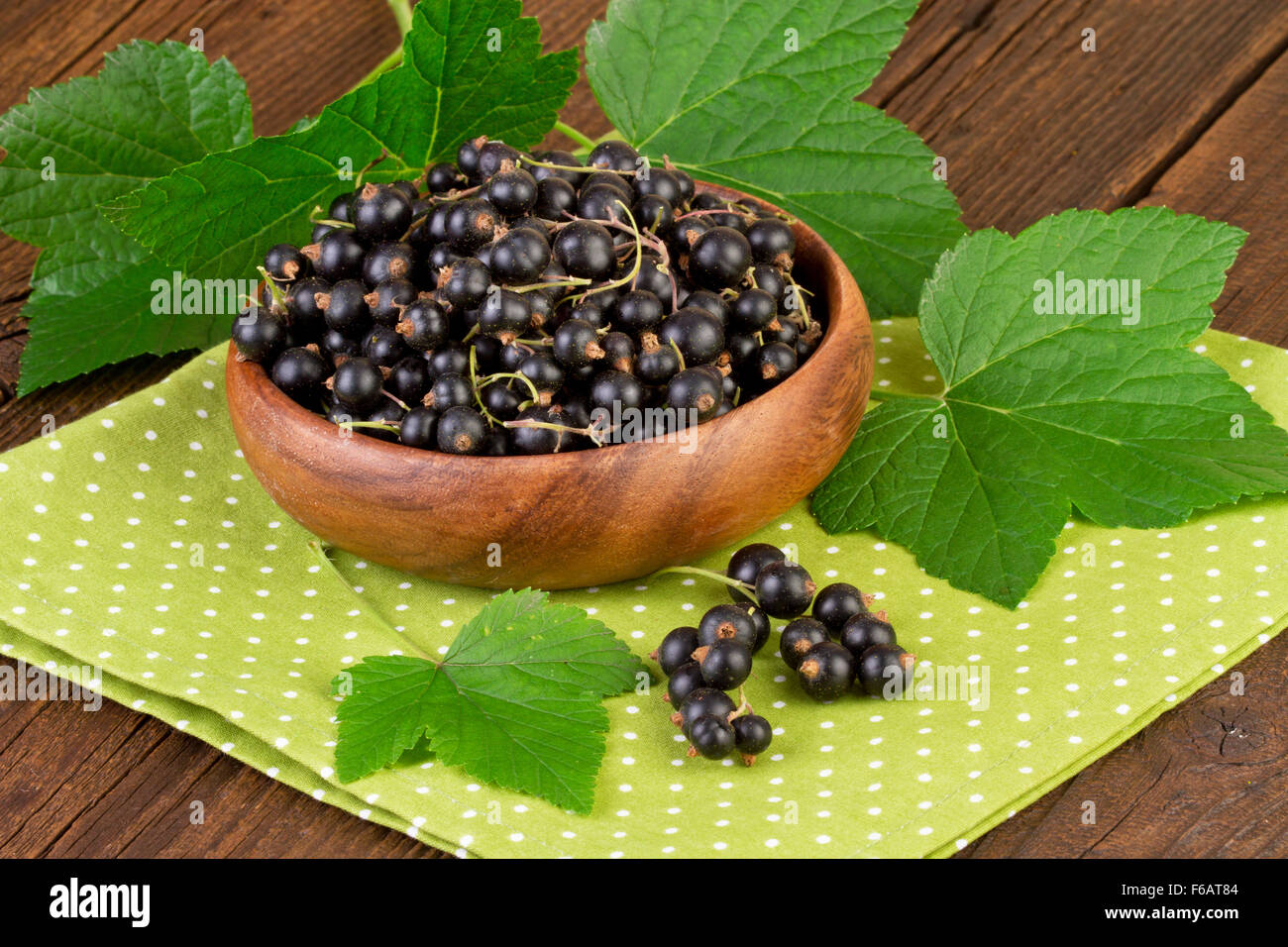 Bacche ribes nero su verde centrino punti sullo sfondo Foto Stock