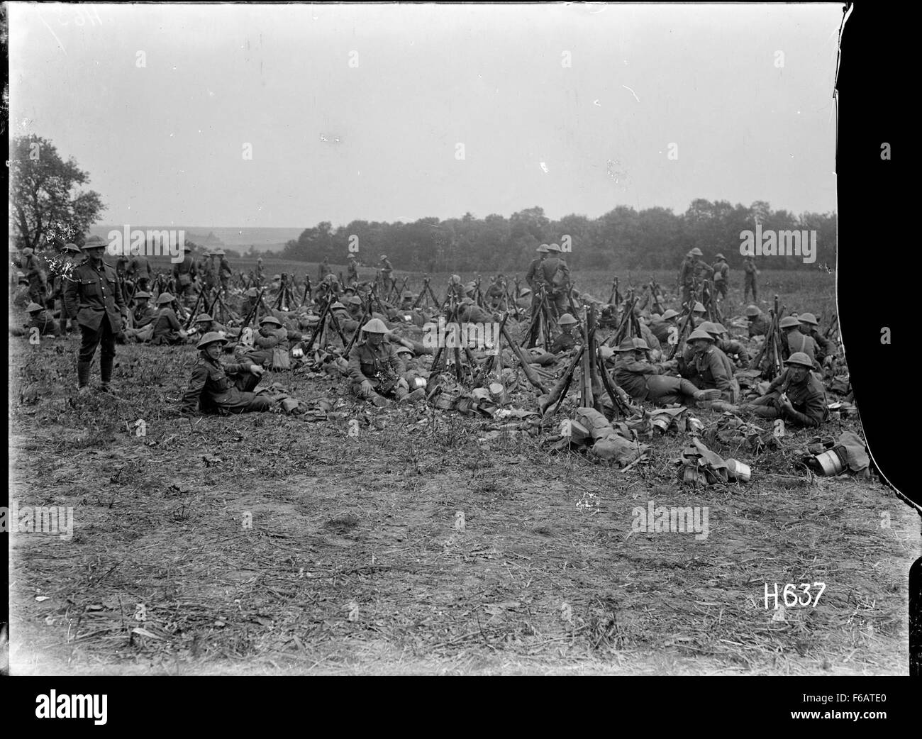 Il *New Zealand Infantry Brigade Horse Show* rimane un evento storico che celebra il legame dei militari con la cavalleria e le abilità equestri. Le truppe, mostrando il loro addestramento, parteciparono a vari eventi legati al cavallo che evidenziavano sia la loro disciplina che il ruolo critico della cavalleria nella storia militare. Questo evento è un importante resoconto della storia militare della nuova Zelanda durante la guerra. Foto Stock