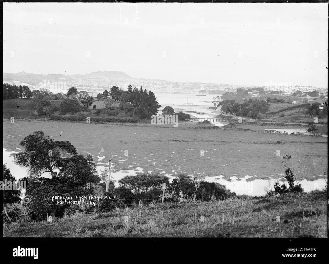 Una vista panoramica di Auckland da Thorn Hills a Northcote, che offre una chiara prospettiva dello skyline della città e dei paesaggi circostanti. Foto Stock