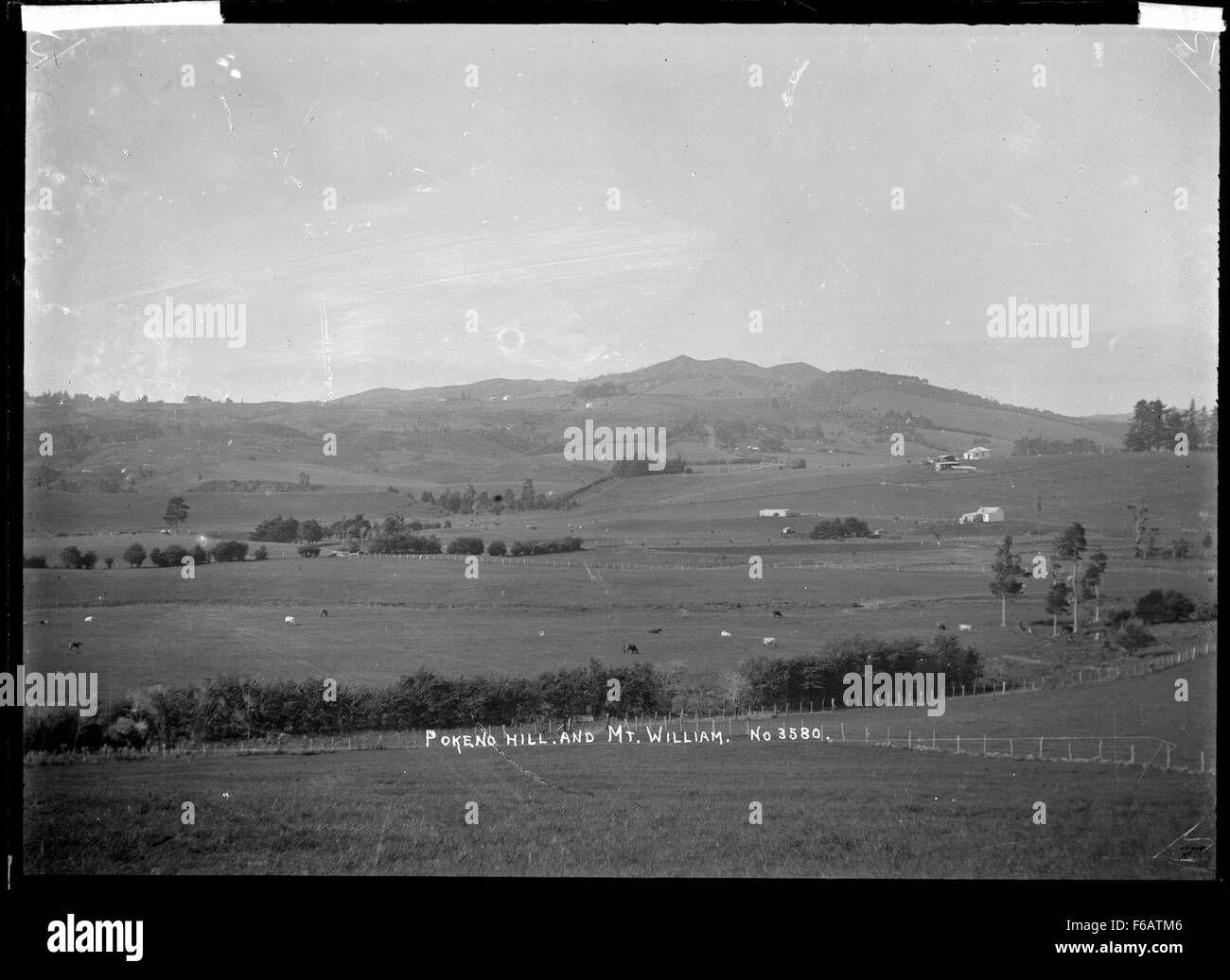 Questo dipinto di paesaggio offre una vista panoramica della Collina Pokeno e del Monte William in nuova Zelanda, mostrando la bellezza naturale e il terreno ondulato della zona. La vista mette in risalto le pittoresche colline e l'ampio cielo. Foto Stock
