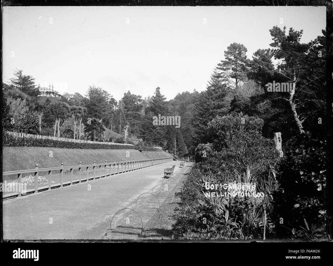 Il Wellington Botanic Garden, in nuova Zelanda, è un famoso giardino pubblico con una varietà di specie vegetali, sentieri per passeggiate e paesaggi tranquilli, offrendo una fuga naturale in città. Foto Stock
