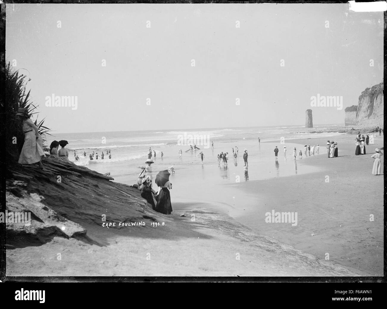 Cape Foulwind, situata sulla costa occidentale della nuova Zelanda, è conosciuta per la sua costa frastagliata e le sue scogliere spettacolari. L'area è rinomata per la sua bellezza naturale, con vedute panoramiche del Mare di Tasman e della fauna selvatica circostante, tra cui le foche. Foto Stock