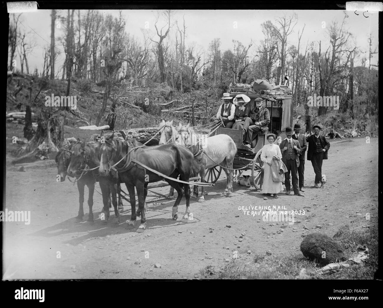Questo dipinto raffigura te Rauamoa, una figura significativa nella storia della nuova Zelanda, impegnata nell'atto di consegnare la posta. Riflette l'importanza della comunicazione e il ruolo degli individui nel plasmare la società durante questo periodo. Le opere d'arte incarnano temi di servizio e comunità, offrendo uno sguardo sulla vita quotidiana e sulla storia nella regione del Pacifico. Foto Stock