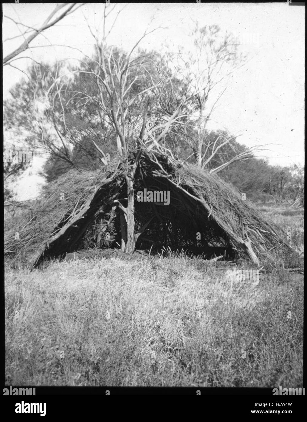 Una abitazione nel bush, nota anche come wiltja, nell'outback australiano, circa il 1940, costruita dagli australiani indigeni come riparo tradizionale. Foto Stock