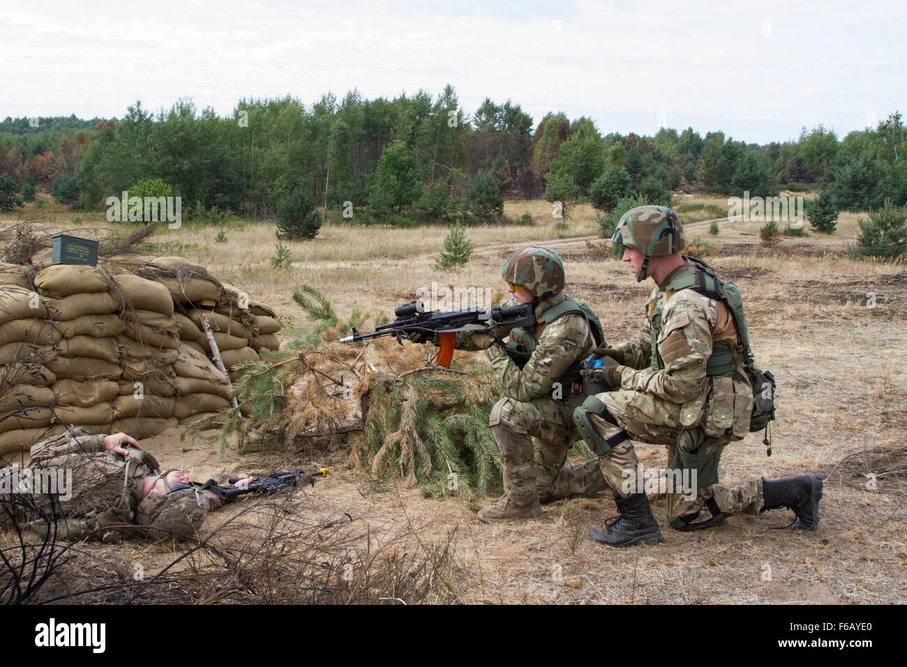 Soldati con la nazionale ucraina di guard prepararsi a lanciare una granata in un bunker durante squad live-formazione antincendio Agosto 22, 2015 come parte di intrepidi del tutore in Yavoriv, Ucraina. I soldati praticato diverse competenze quali il movimento sotto contatto, assalti, bunker di compensazione e di primo soccorso. I paracadutisti con gli Stati Uniti Dell'esercito 173rd Brigata Aerea sono in Ucraina per la seconda delle diverse rotazioni pianificate per il treno dell'Ucraina neo-costituita la guardia nazionale come parte di intrepida custode, che è programmato per ultimo a novembre. (U.S. Esercito foto di Sgt. Alexander Skripnichuk, XIII PUBBLICA Foto Stock