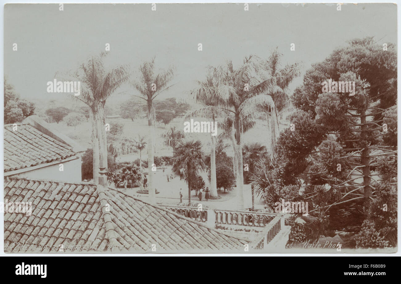 Questa immagine raffigura una vista dal tetto di una hacienda, che mostra una miscela di piante, edifici e persone. La scena cattura l'essenza della vita rurale, con cortili, alberi e architettura tradizionale. Foto Stock