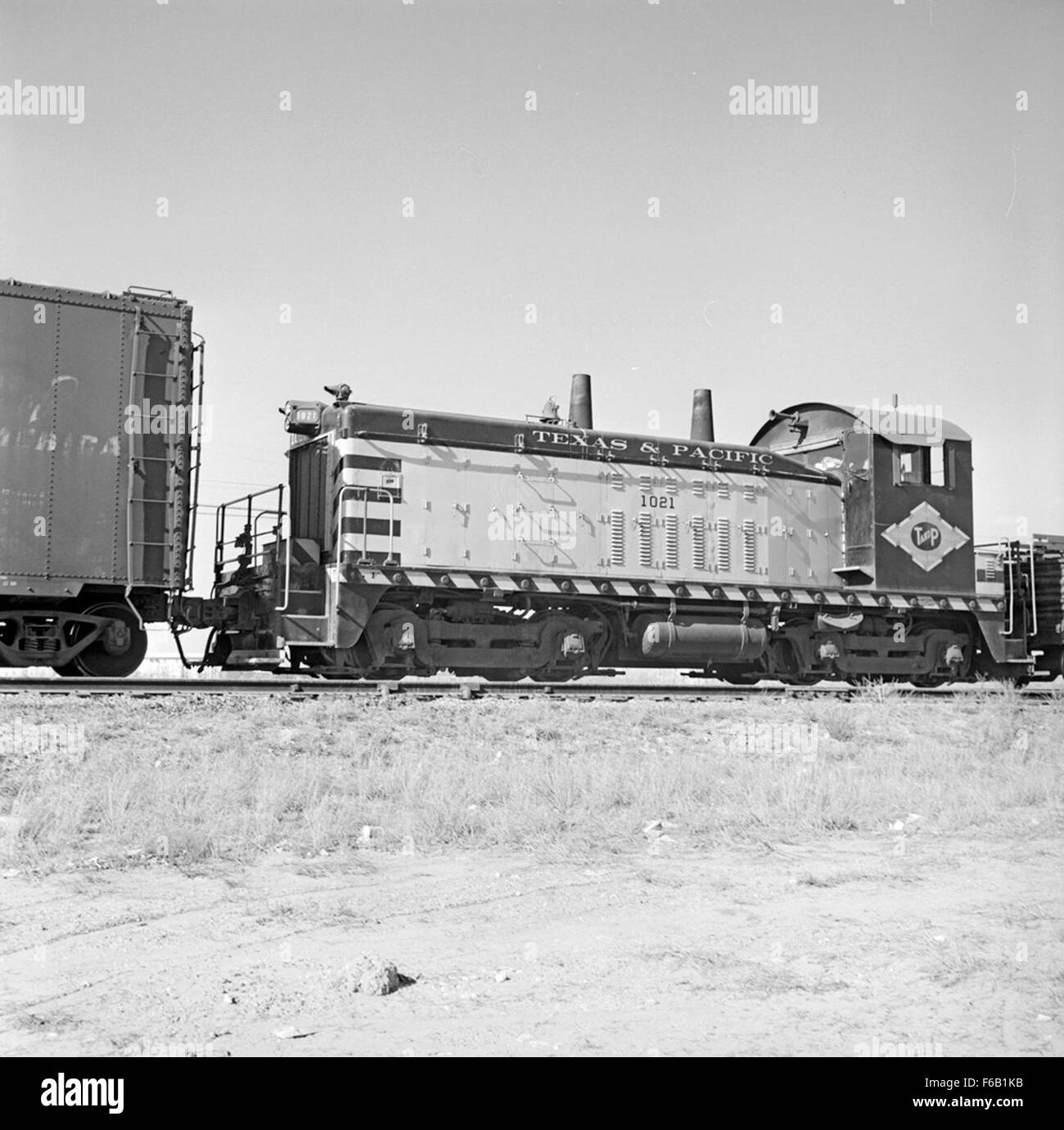 Questa immagine mostra il Texas & Pacific Diesel Electric Switcher No. 1021, una locomotiva nota per il suo ruolo nei cantieri merci e nelle operazioni di commutazione. La ferrovia T&P fu significativa nello sviluppo del sistema ferroviario americano. Foto Stock