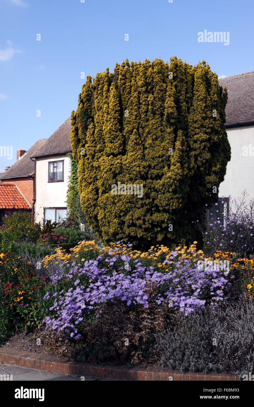 RHS HYDE HALL frontiere autunnali. Foto Stock