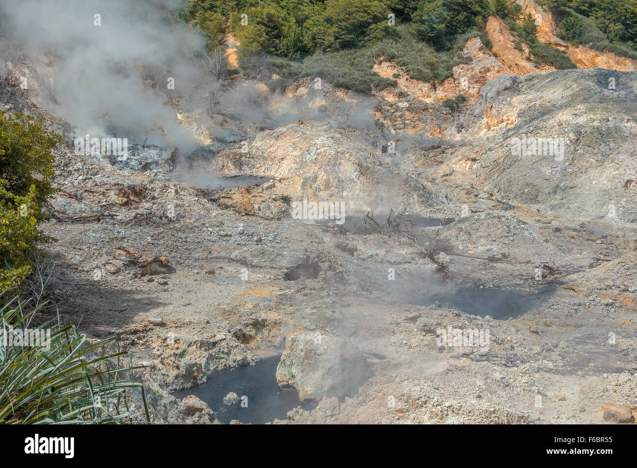 Area vulcanica Mount Soufriere Saint Lucia West Indies Foto Stock