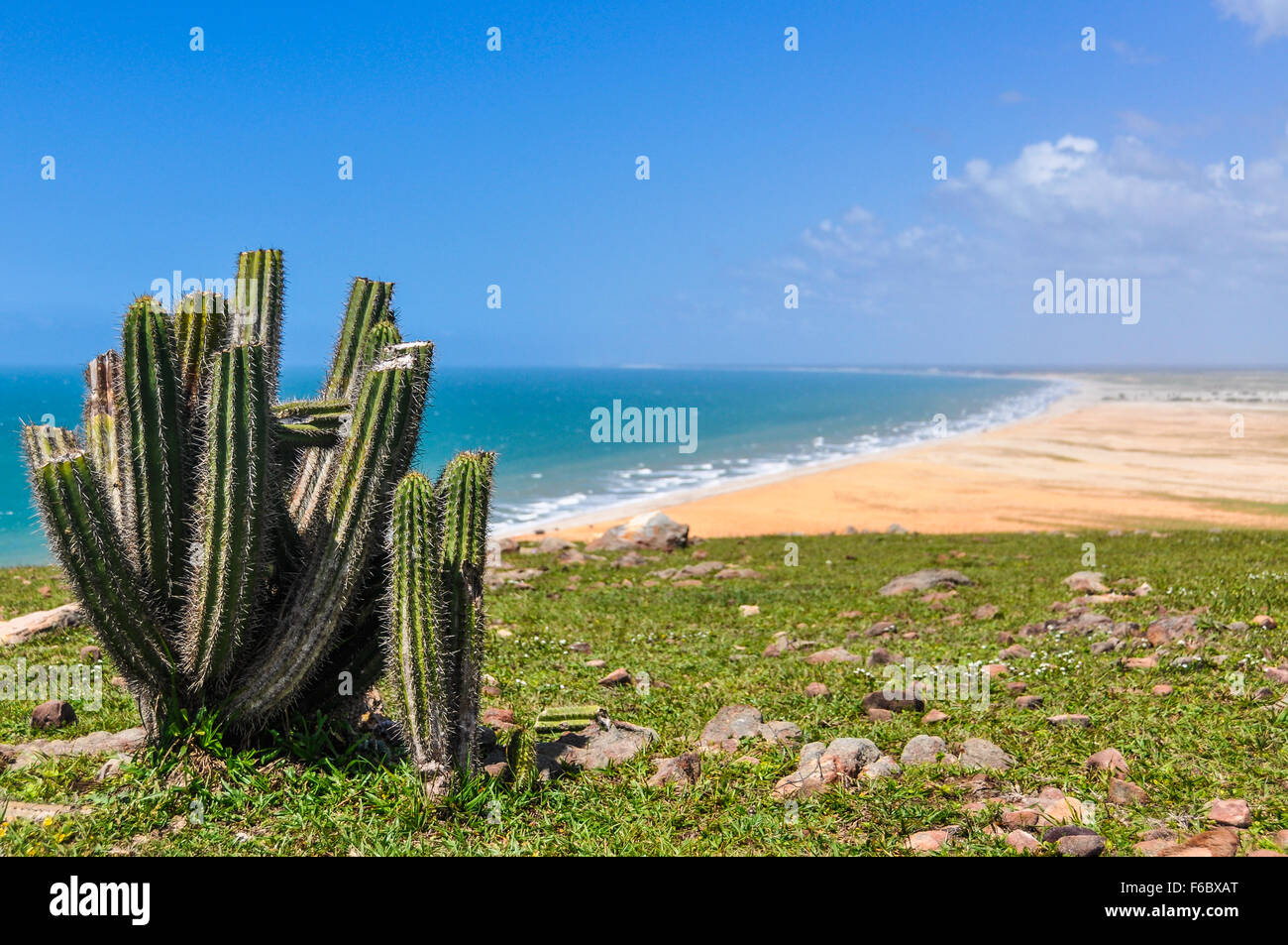 Vista delle spiagge del litorale isolato villaggio di Jericoacoara, Brasile Foto Stock