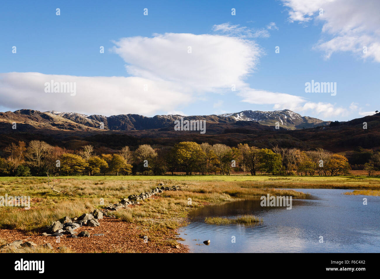 Vista su tutta Llyn Dinas lago a Cnicht montagna nel Parco Nazionale di Snowdonia in autunno. Nant Gwynant Gwynedd North Wales UK Gran Bretagna Foto Stock