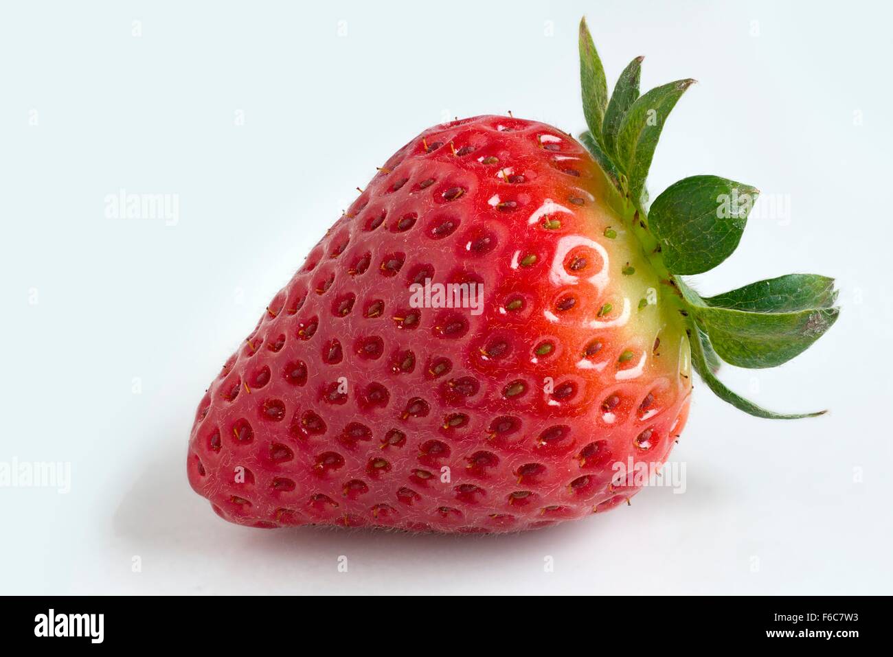 Una fragola contro uno sfondo bianco Foto Stock