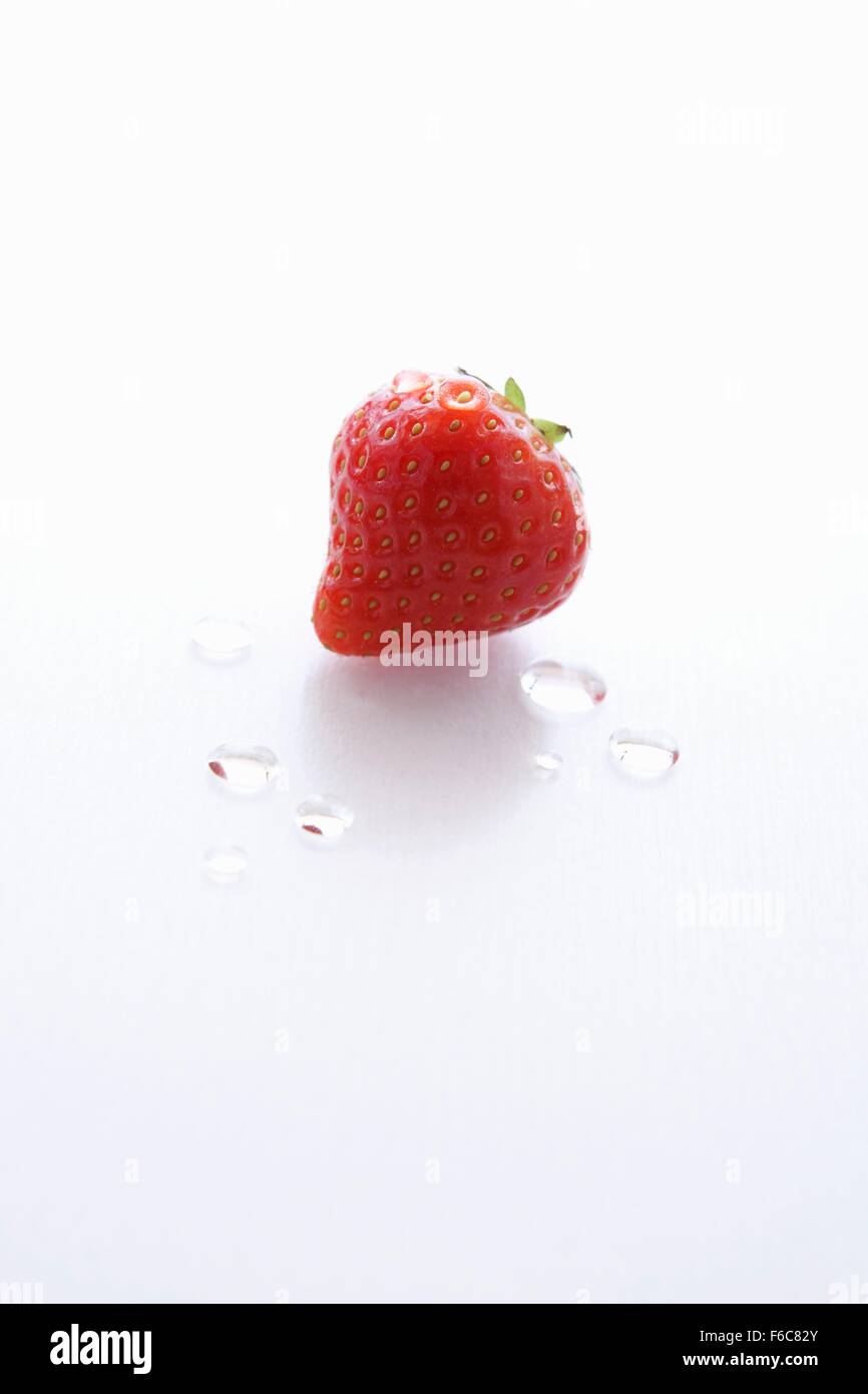 Un singolo Wet Strawberry su sfondo bianco Foto Stock