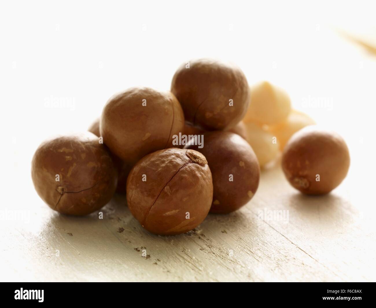 Noci di macadamia Foto Stock