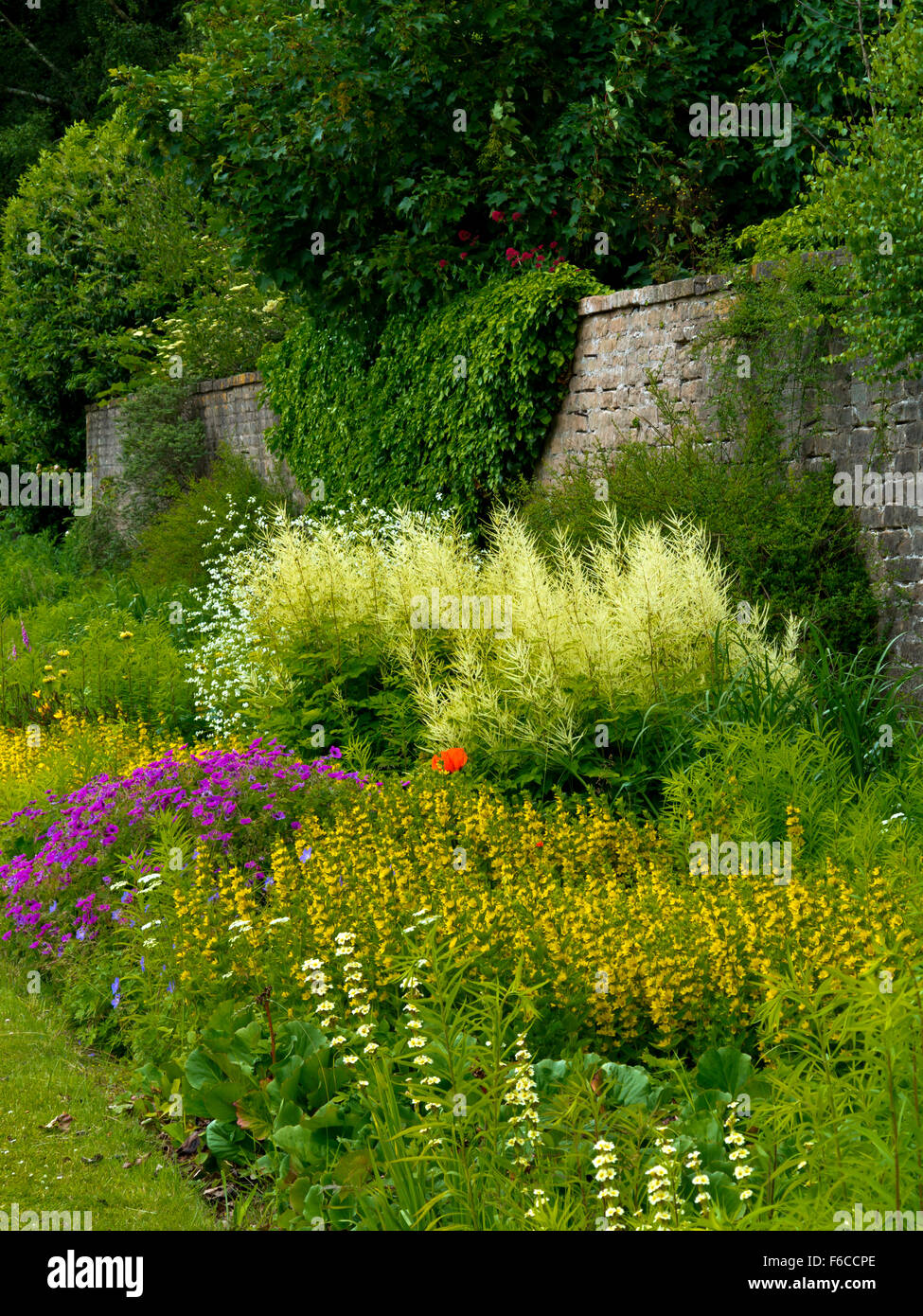 Confine erbaceo nel giardino di Newstead Abbey vicino Ravenshead NOTTINGHAMSHIRE REGNO UNITO Inghilterra ex casa di Lord Byron Foto Stock