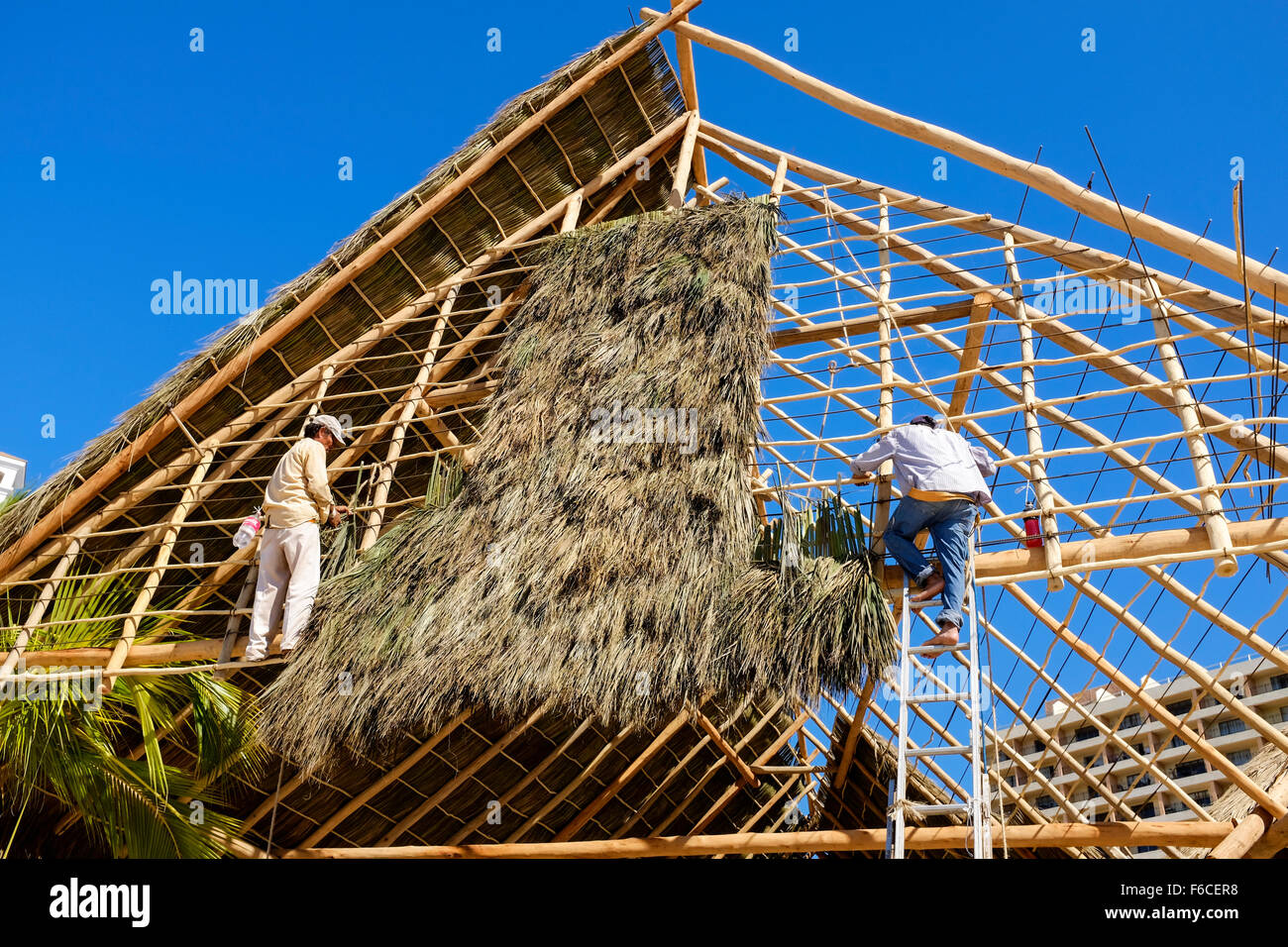 Gli uomini a costruire un edificio utilizzando il bambù e il telaio in legno e coperto con foglie di palma e di erba, Puerto Vallarta, Messico Foto Stock