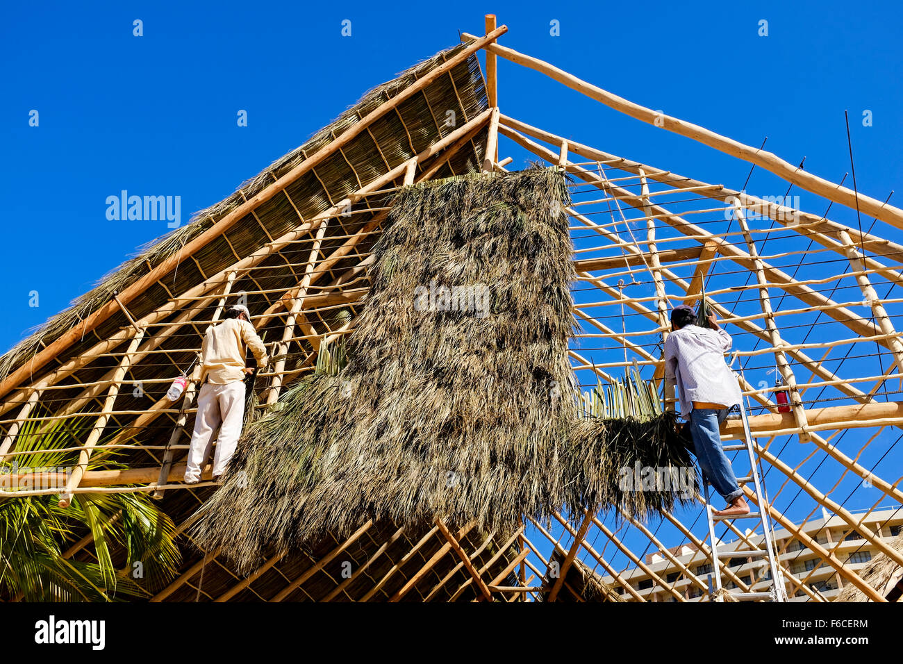 Gli uomini a costruire un edificio utilizzando il bambù e il telaio in legno e coperto con foglie di palma e di erba, Puerto Vallarta, Messico Foto Stock