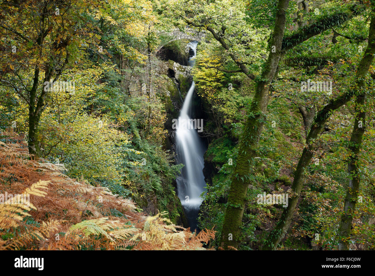 Aira Force, Ullswater. Parco Nazionale del Distretto dei Laghi, Cumbria, Regno Unito. Foto Stock