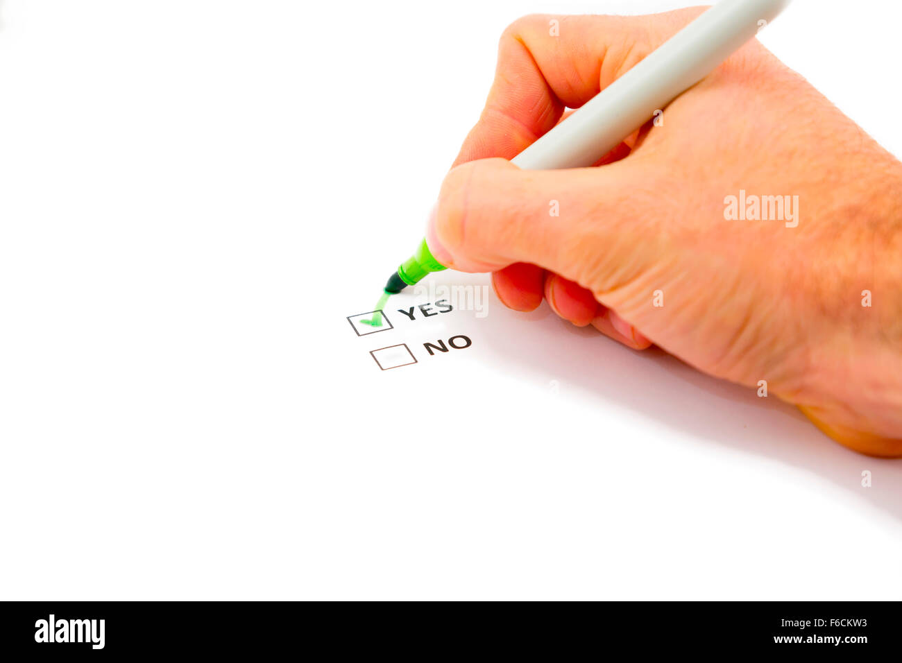 Sì/No referendum voto voto cartaceo, con un segno di spunta verde nella casella sì Foto Stock