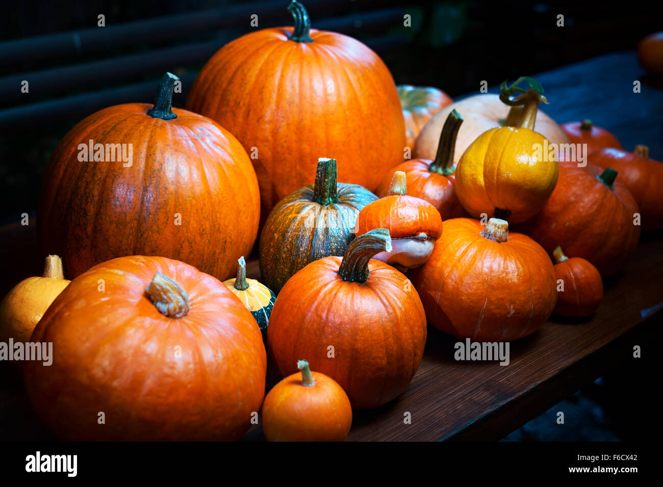 Raccolto autunnale. Zucche sul tavolo in giardino. Focus su Centro Foto Stock