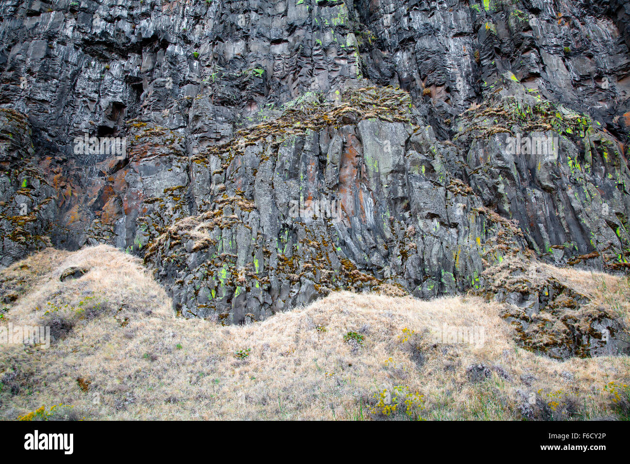 Il granito nero pareti del Columbia River Gorge con l'autunno di Moss e erbe, 2015. Foto Stock