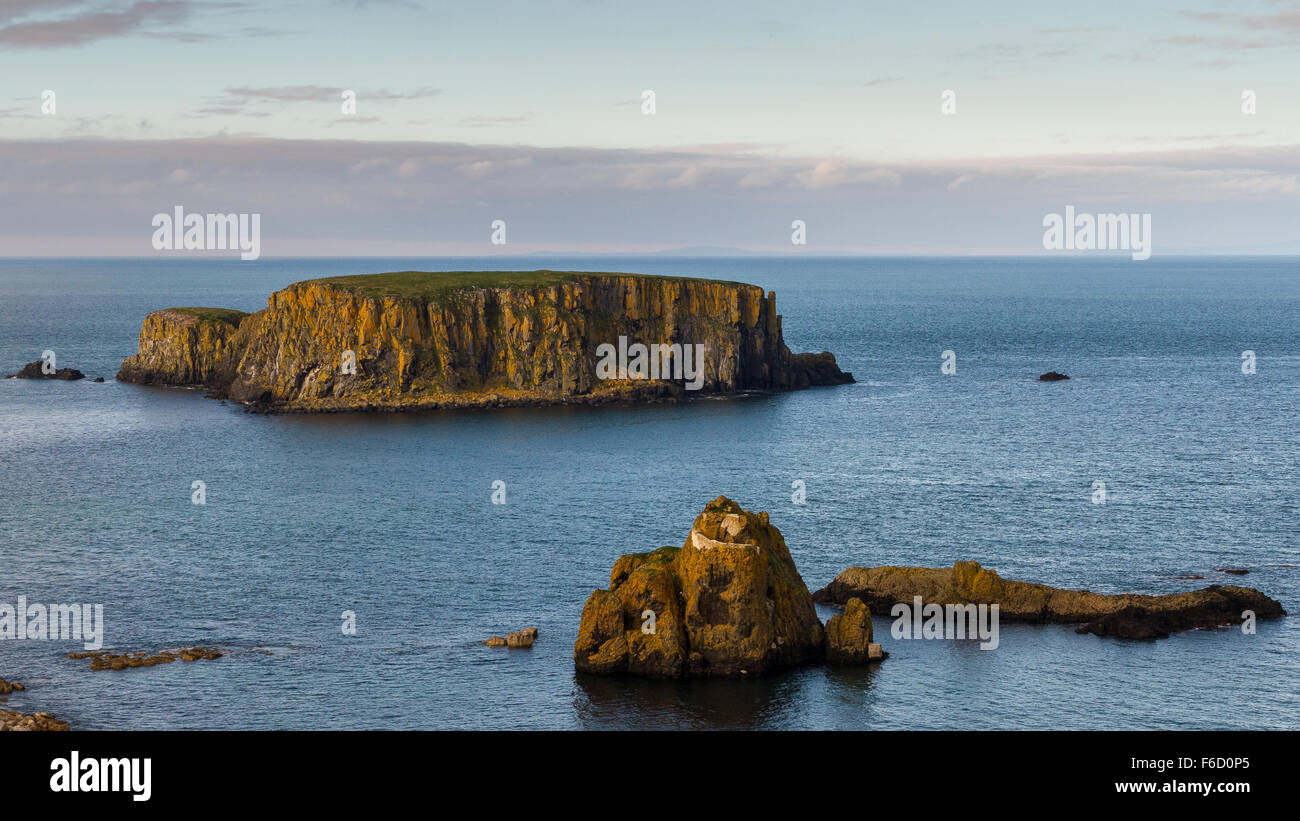 Isola di pecora, North Antrim Coast, County Antrim, Irlanda del Nord Foto Stock