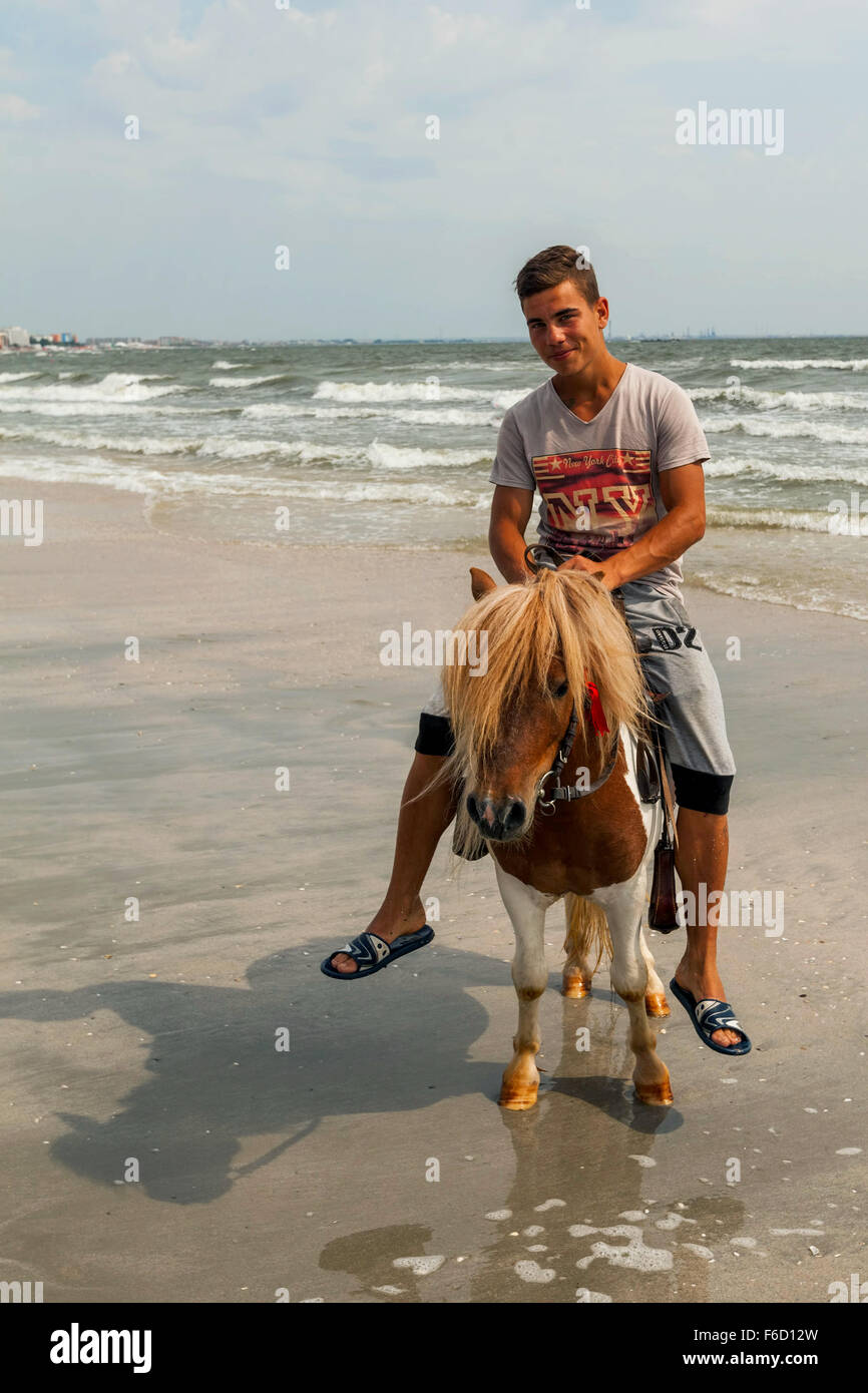 Mamaia, Romania - 7 giugno, 2014: Ritratto di giovane ragazzo in sella al suo Pony sulla spiaggia di Mamaia Il 7 giugno, 2014 Foto Stock