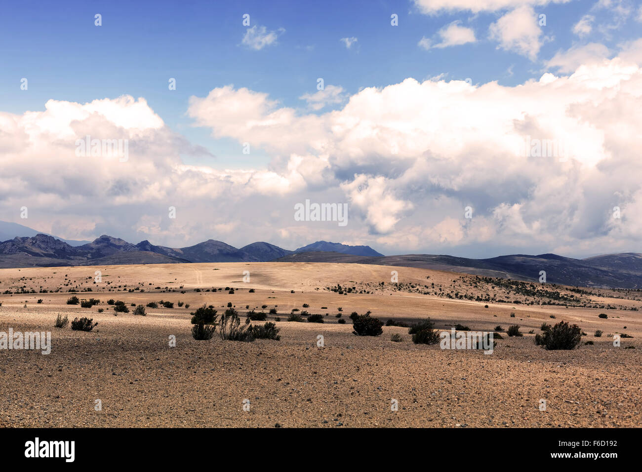 Chimborazo è nella Cordillera Occidental delle Ande Centrali di Ecuador Foto Stock