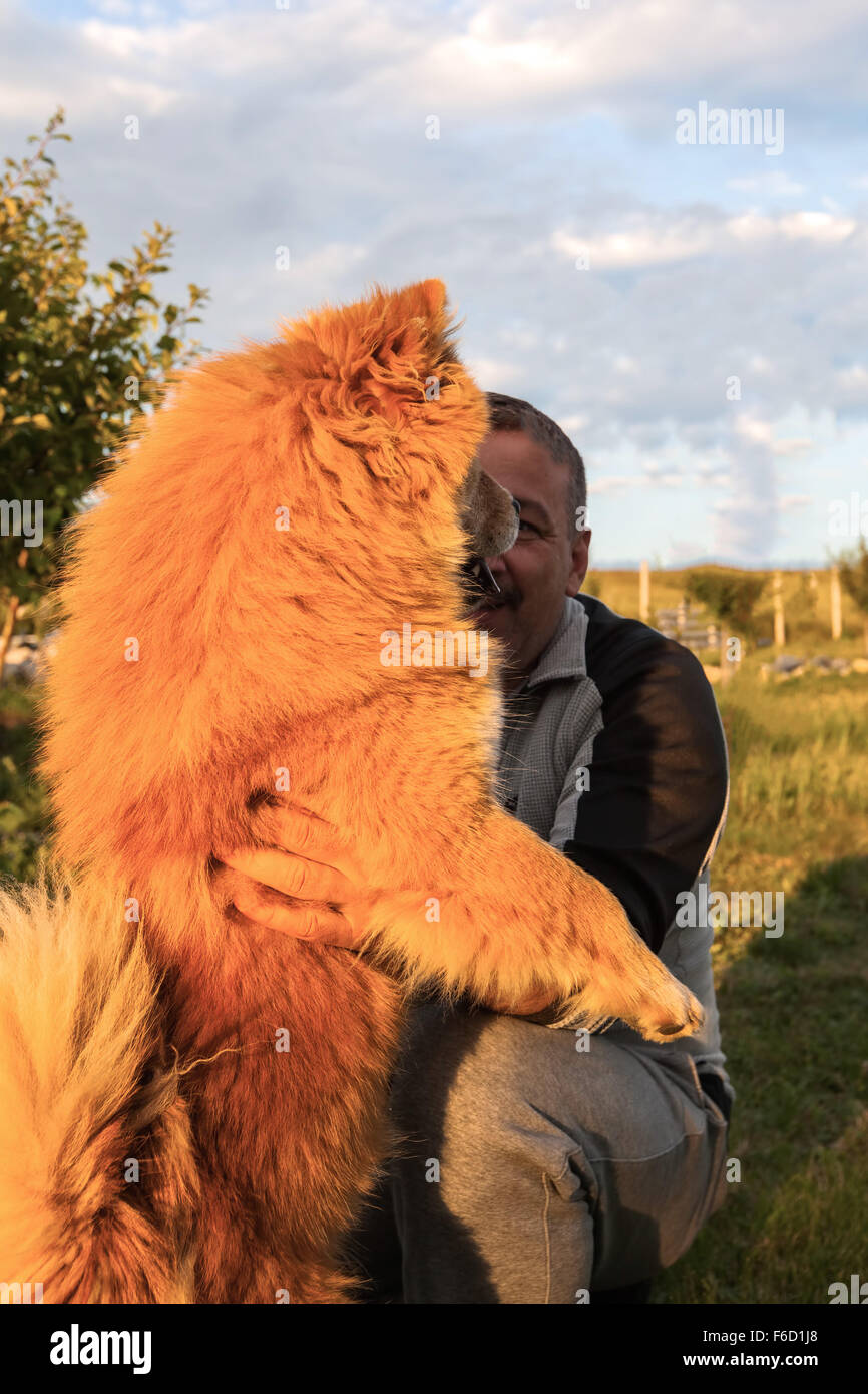 Hunedoara, Romania - 21 Giugno 2014: dai capelli scuri uomo con un baffi con Chow Chow cane rossiccio Outdoor In Hunedoara Foto Stock