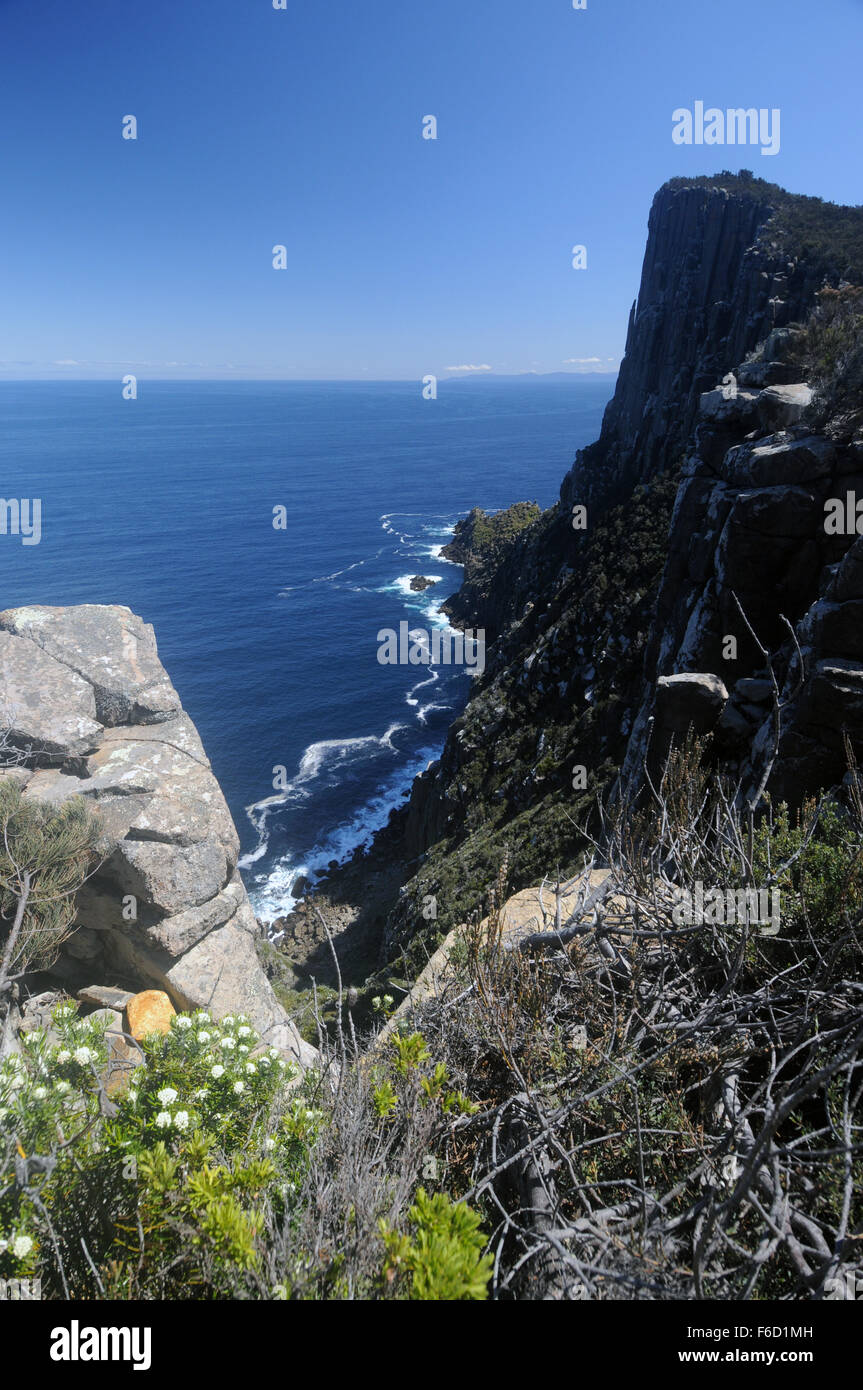Clifftops del pilastro del Capo, tre promontori via, Penisola Tasmana, Tasmania Foto Stock