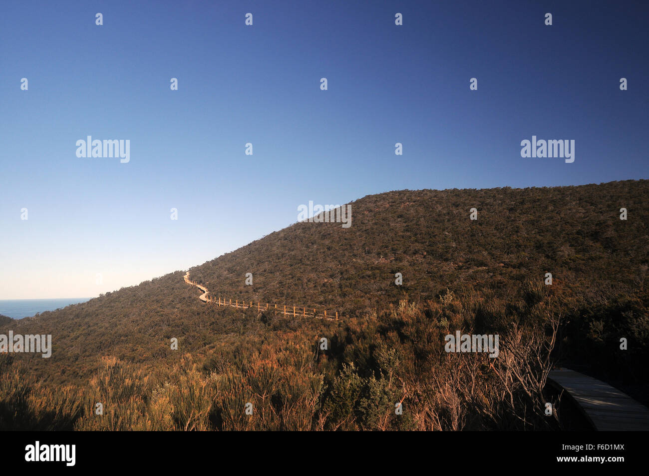 I tre promontori via avvicinamento pilastro del Capo, Penisola Tasmana, Tasmania Foto Stock