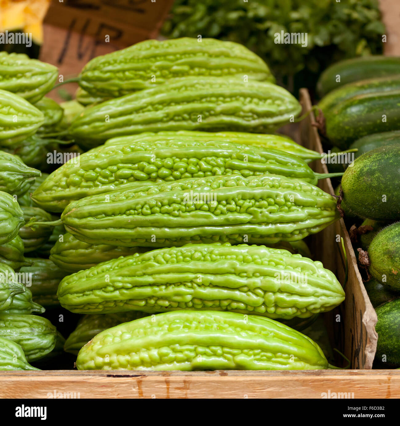 Il cinese amaro per la vendita al mercato di China Town, New York. Foto Stock