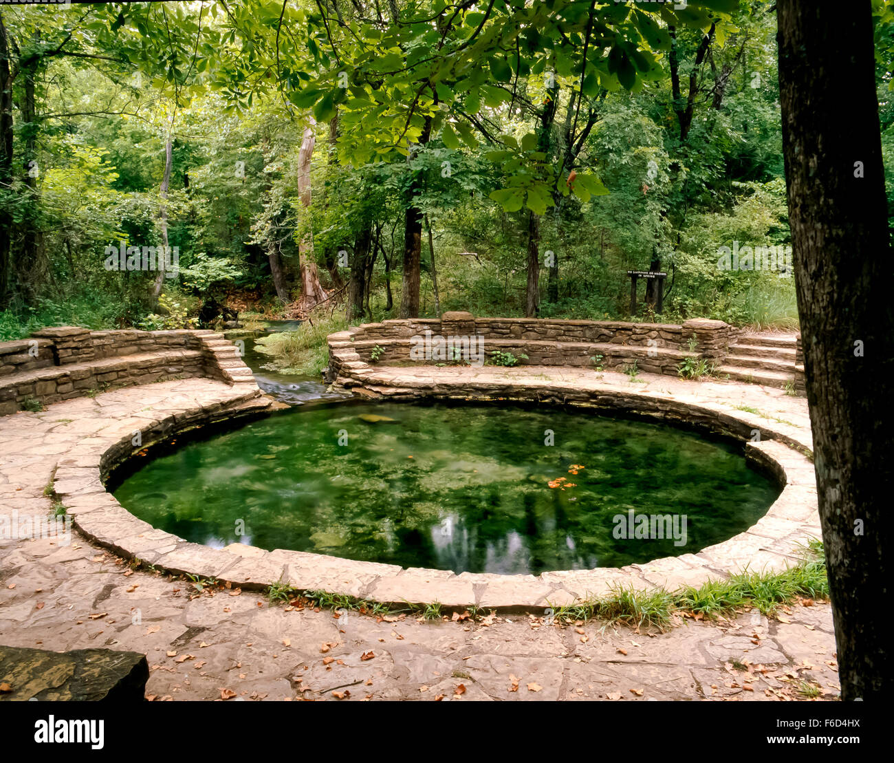 Bufalo Springs alla testa di travertino Creek in Chickasaw Recreatin nazionale Area. Foto Stock