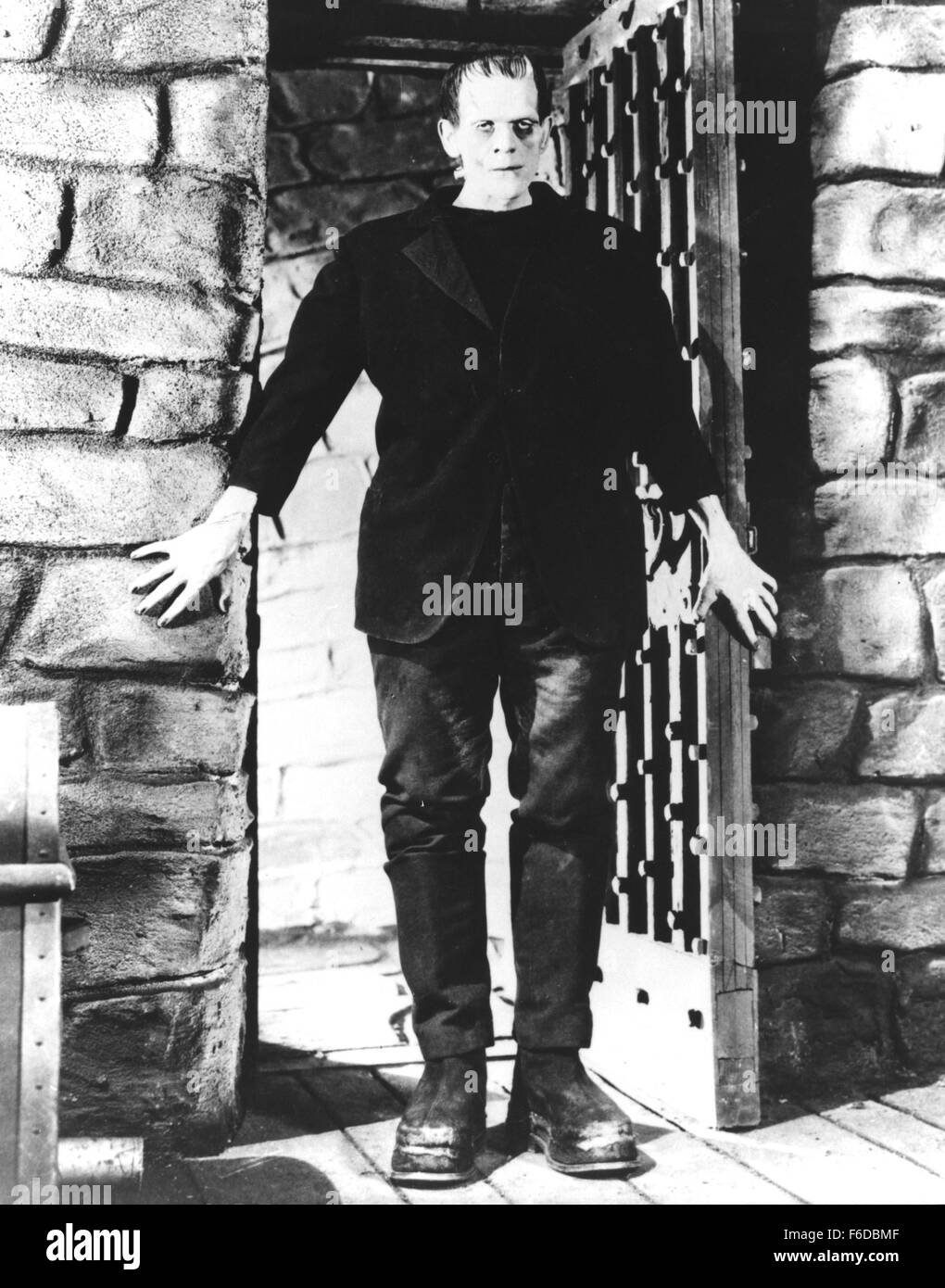 Data di rilascio: 21 novembre 1931. Il titolo del filmato: Frankenstein.  STUDIO: Universal Pictures. Trama: Henry Frankenstein è un medico che sta  cercando di scoprire un modo per rendere i morti a