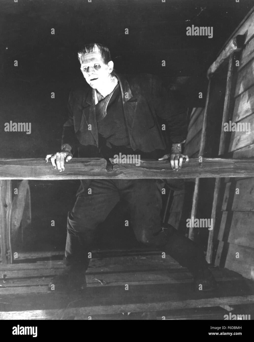 Data di rilascio: 21 novembre 1931. Il titolo del filmato: Frankenstein. STUDIO: Universal Pictures. Trama: Henry Frankenstein è un medico che sta cercando di scoprire un modo per rendere i morti a piedi. Egli suceeds e crea un mostro che ha a che fare con la vita di nuovo. Nella foto: BORIS KARLOFF come il mostro. Foto Stock