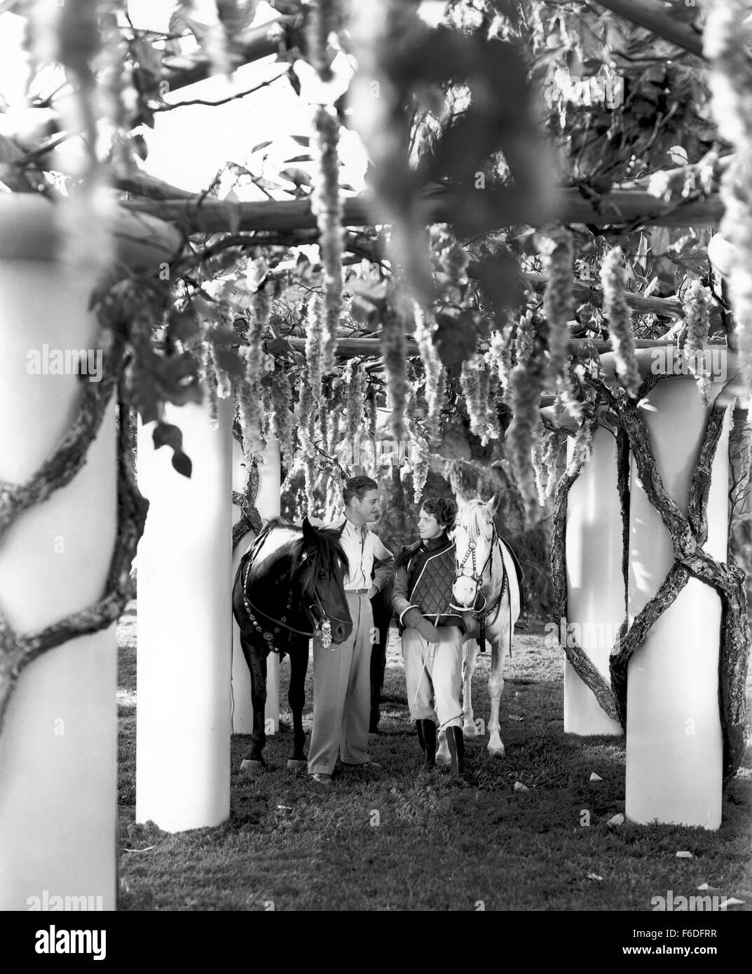 Rilasciato: Mar 2, 1937 - Film originale titolo: Orizzonte Perduto. Nella foto: Ronald Colman, Jane Wyatt. Foto Stock