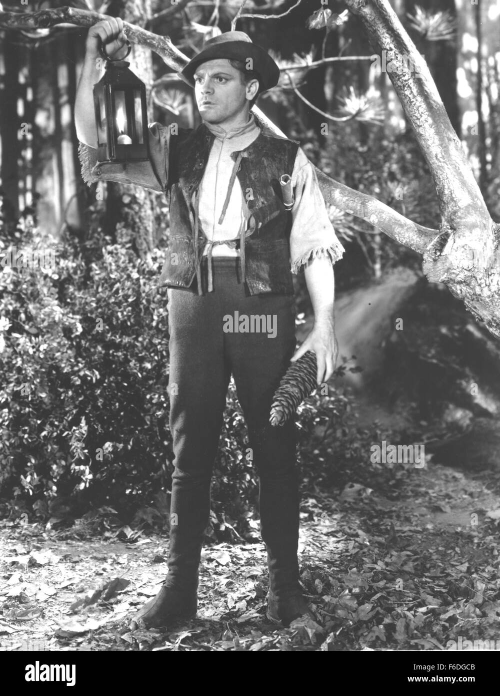 Data di rilascio: 30 ottobre 1935. Il titolo del filmato: A Midsummer Night's Dream. STUDIO: Warner Bros Le foto. Trama: Teseo Duca di Atene, sta per sposare Hyppolyta, regina delle amazzoni. Demetrius è impegnato con Hermia, ma ama Hermia Lysander. Helena ama Demetrio. Oberon e Titania, del regno delle fate hanno una leggera litigare su se o non il ragazzo biossido di titanio è il sollevamento si uniranno Titania's band o Oberon, così Oberon tenta di ottenere da lui il suo utilizzando qualche magia. Ma non siete soli in tale foresta.Lysander ed Ermellina vi sono un rendezvous, Elena e Demetrio sono lì, troppo Foto Stock