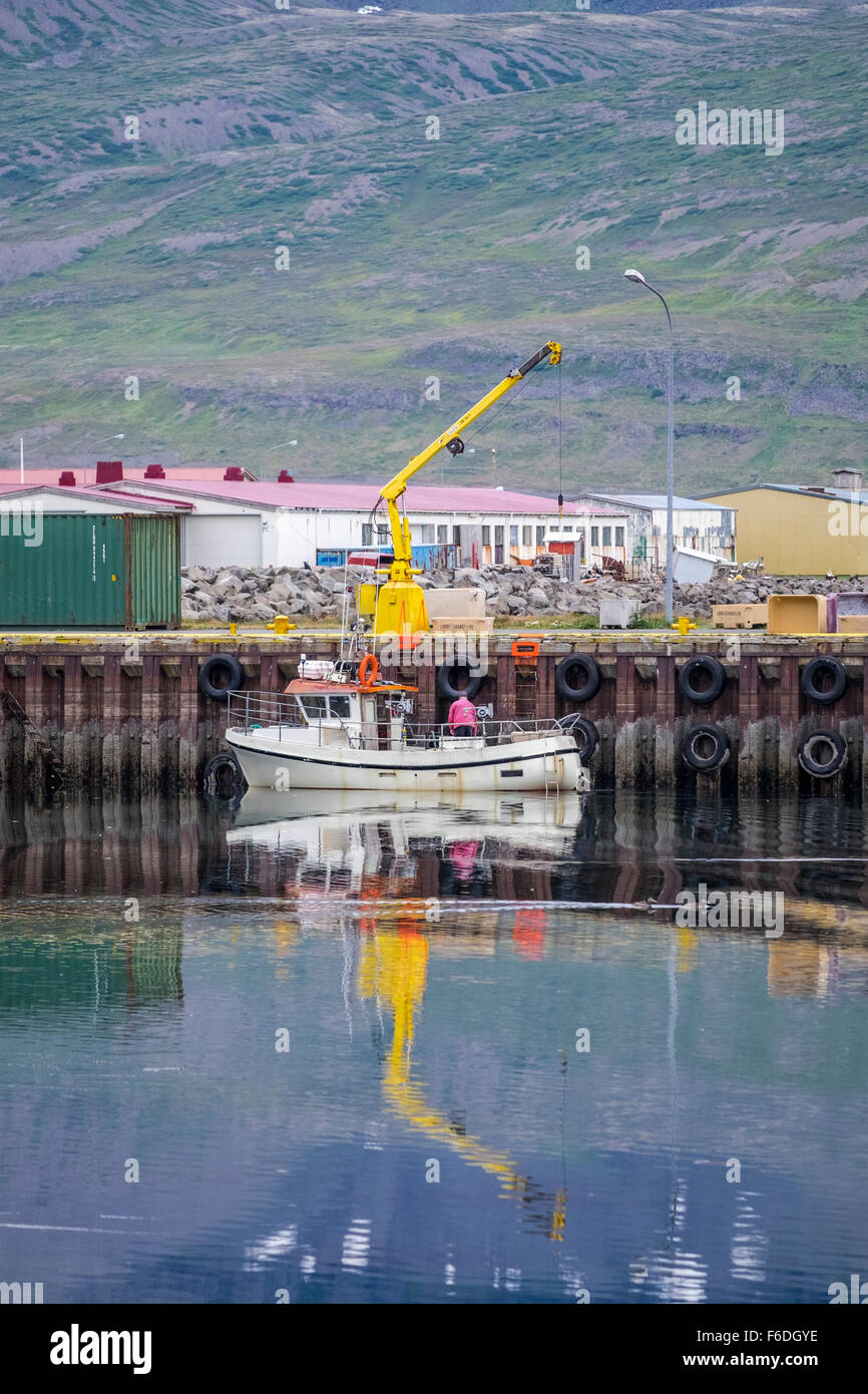 Thingeyri è un piccolo villaggio ficherman del Westfjords. L'Islanda Foto Stock