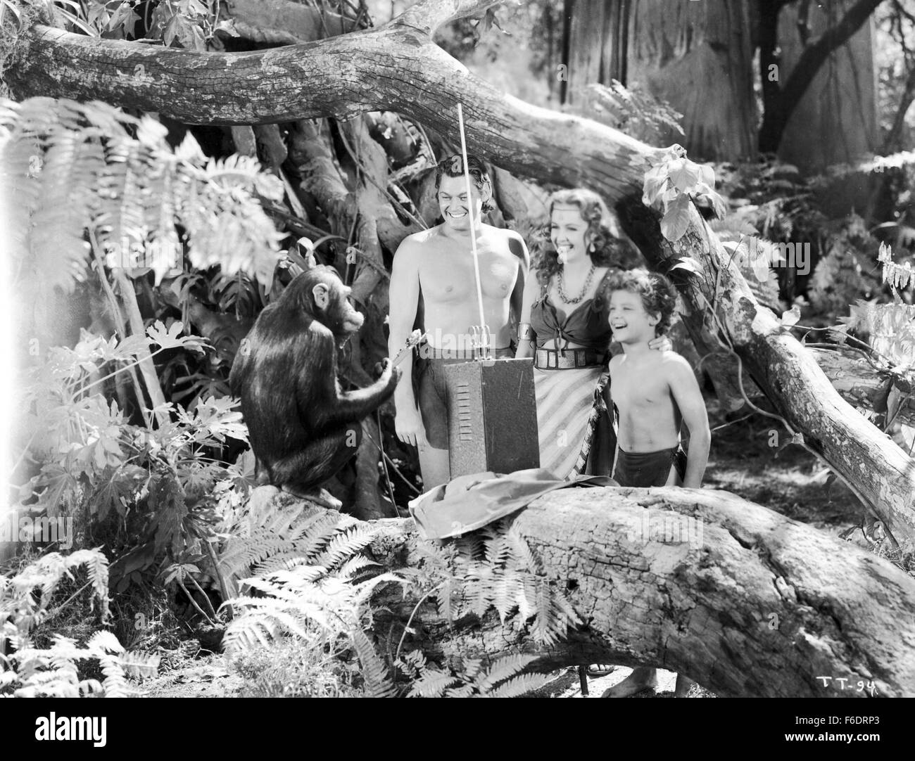 Rilasciato: Lug 15, 1943 - Film originale titolo: Tarzan trionfa - foto: Johnny Weissmuller. Foto Stock