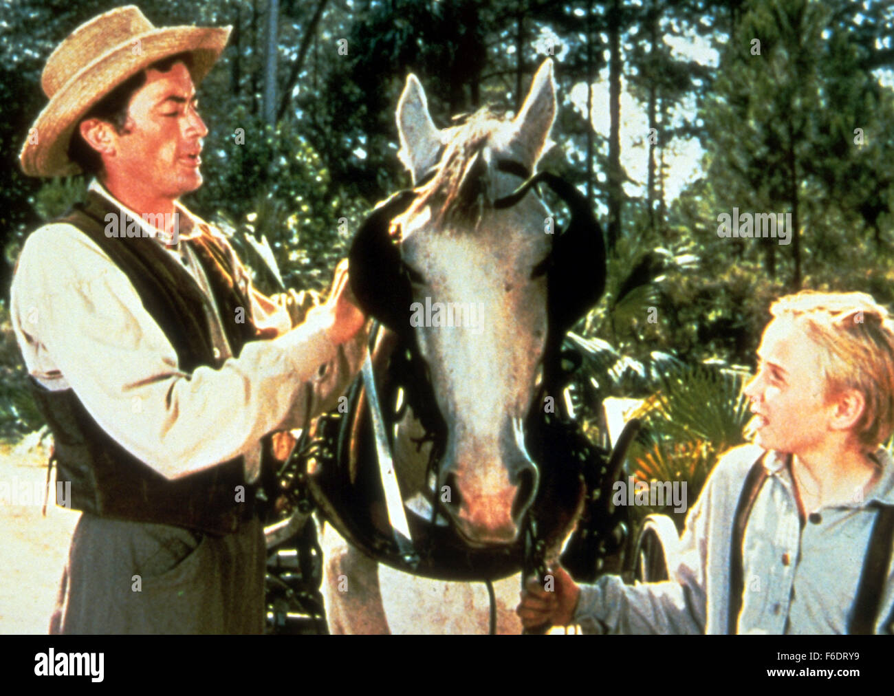 Rilasciato: Dic18, 1946 - originale titolo di film: La Yearling, nella foto: Gregory Peck , CLAUDE JARMAN JR. Foto Stock