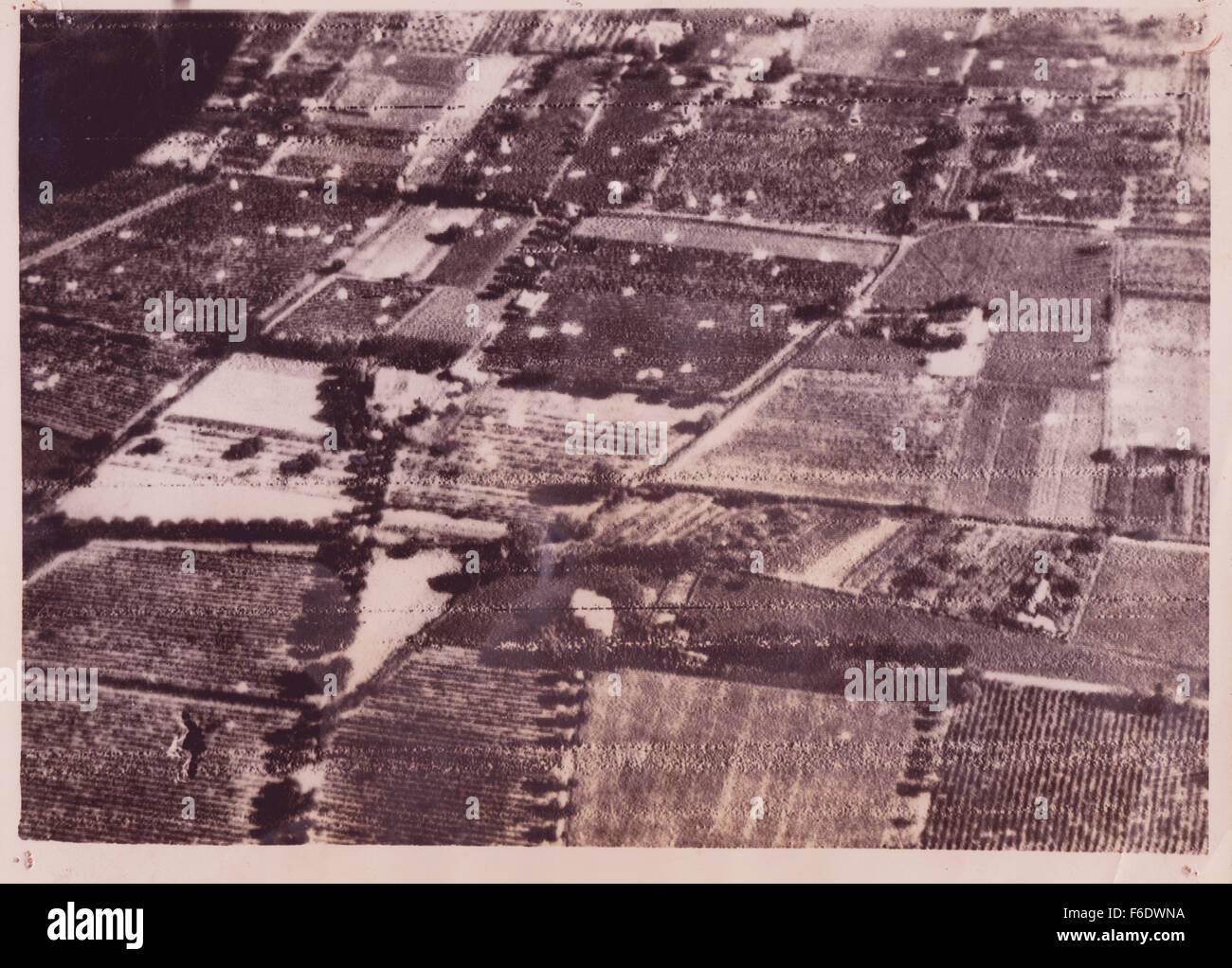 725. La Francia. Abbandonate i paracaduti cucciolata i campi del sud della Francia dopo l'assalto da Allied Airborne Forces 1944. Foto Stock