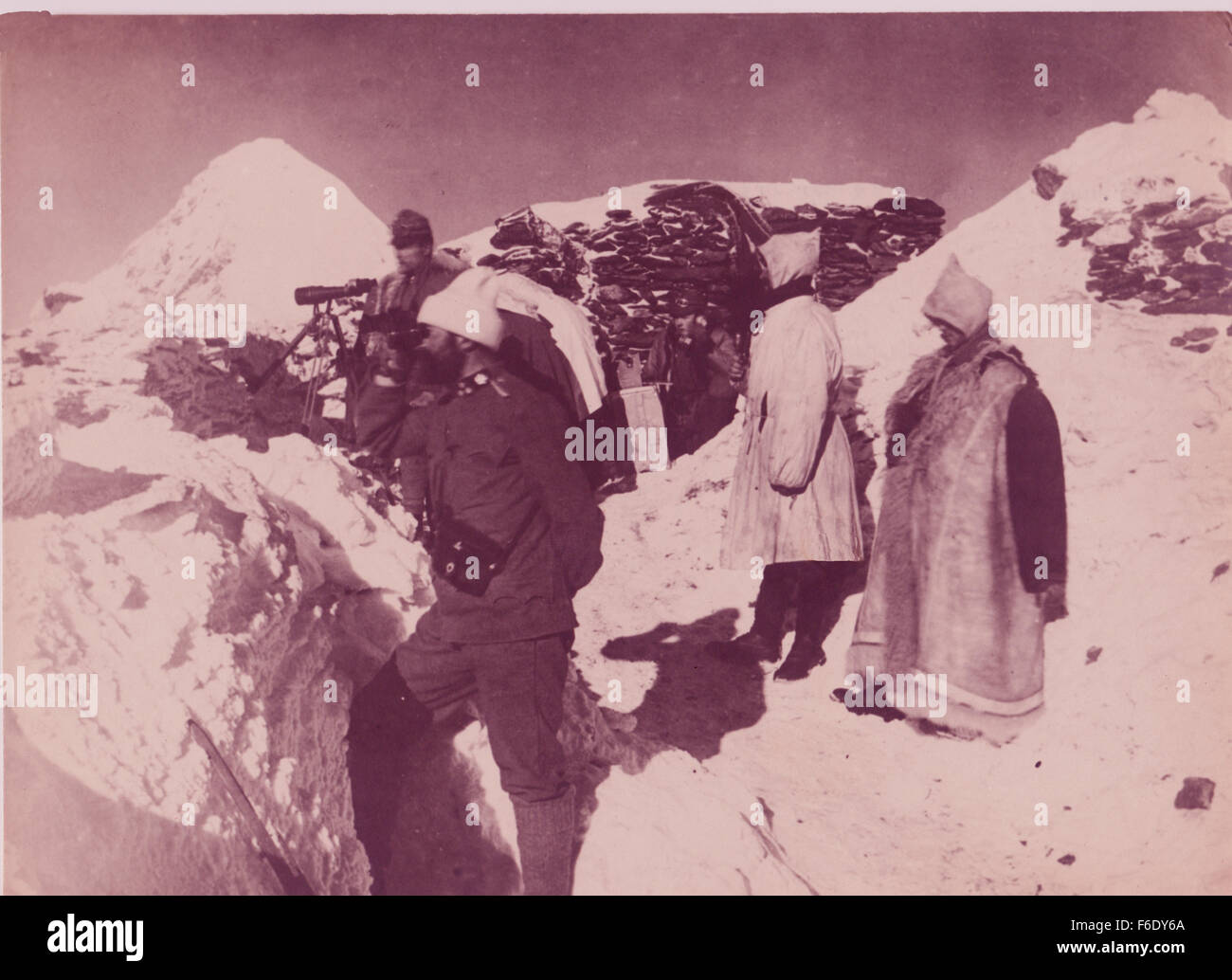 729. Italiano le truppe di montagna Ortles Alpi,Alto Adige 1944 Foto Stock