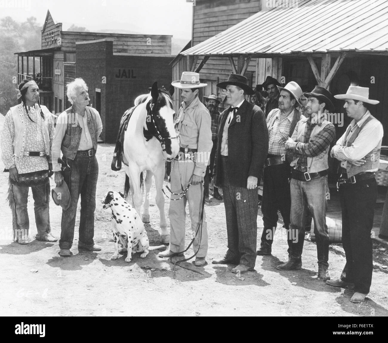 john d johnson kennels