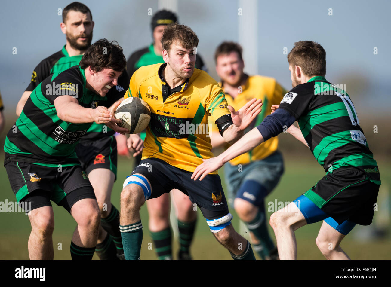 Giocatori di rugby in azione Foto Stock