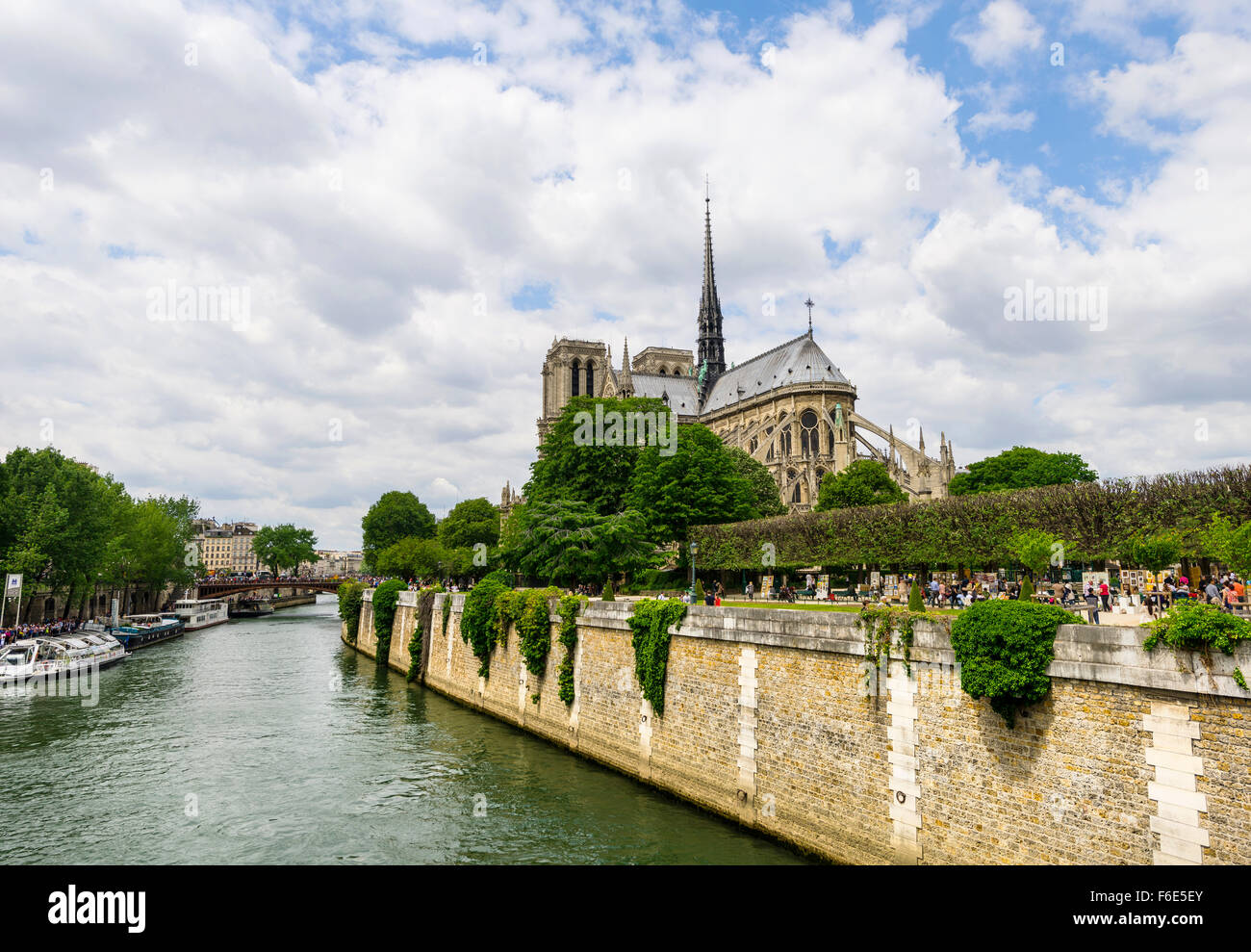 Vista sul Fiume Senna con Notre-Dame, Parigi, Ile-de-France, Francia Foto Stock