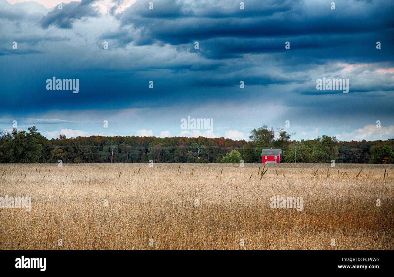 Nuvole temporalesche passate con il mouse sopra i campi del Sud del New Jersey Farm. Medford, New Jersey, USA. Foto Stock