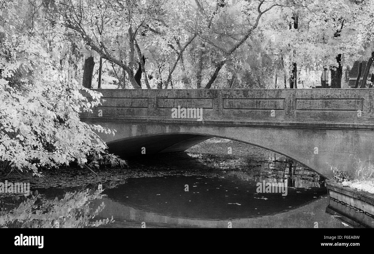 La modifica lascia portare gli schizzi di colore per la storica Kirby's Mill pond di Medford, NJ. Foto Stock